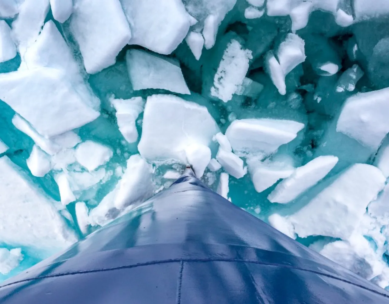 segment arctic