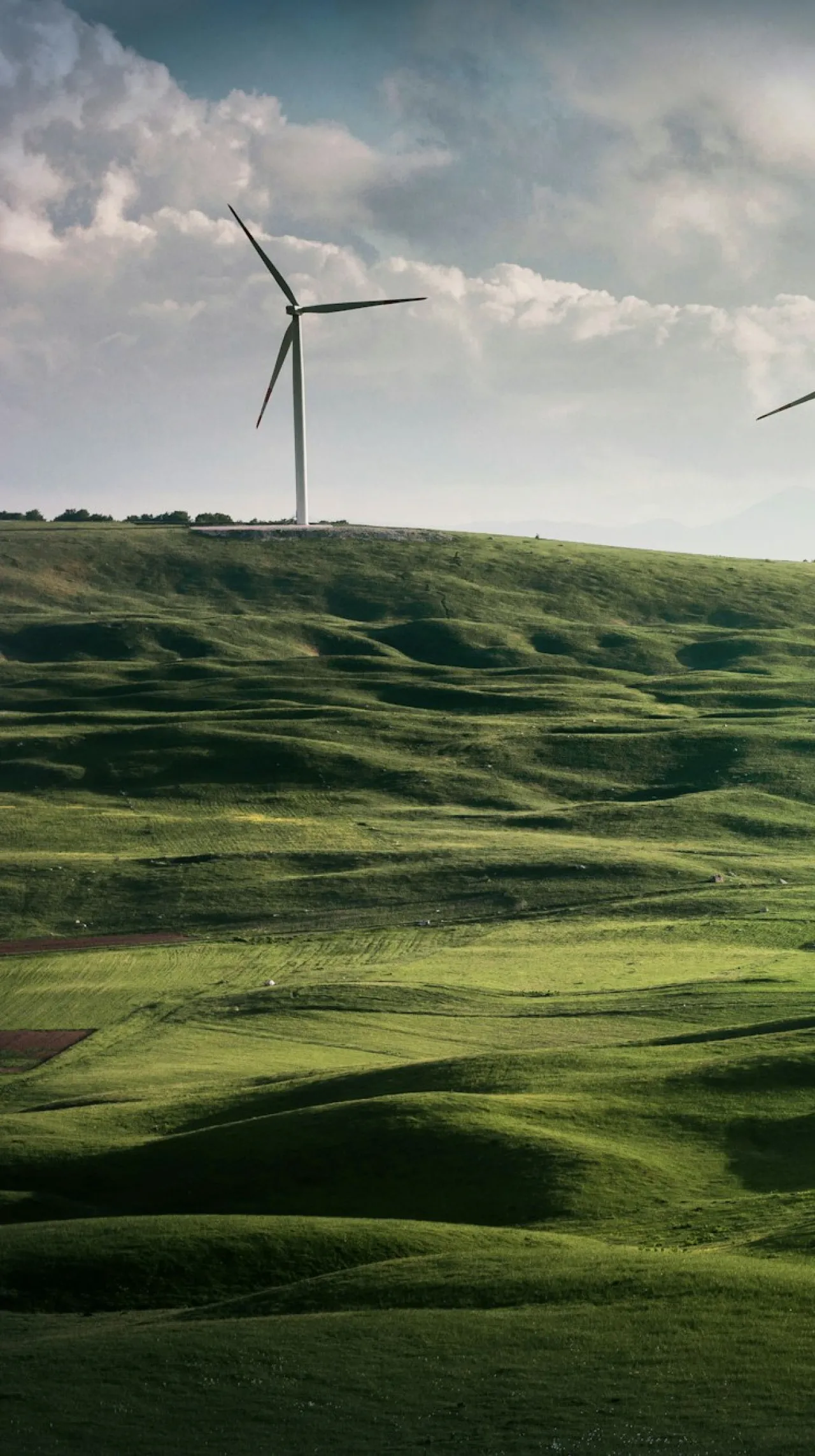 sustainability low emissions